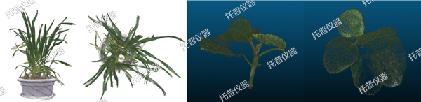 溫室型高通量植物表型采集分析平臺