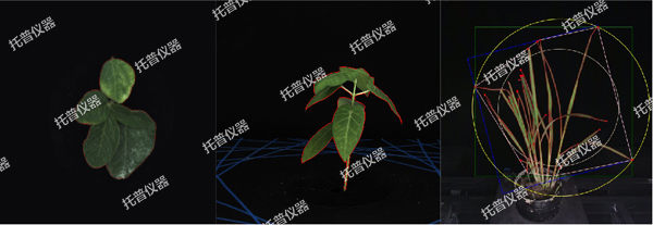 溫室型高通量植物表型采集分析平臺