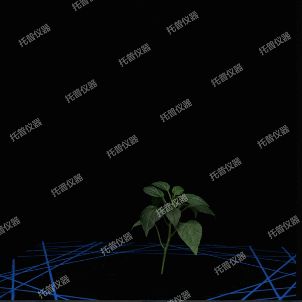 盆栽植物三維數(shù)字表型采集分析系統(tǒng)