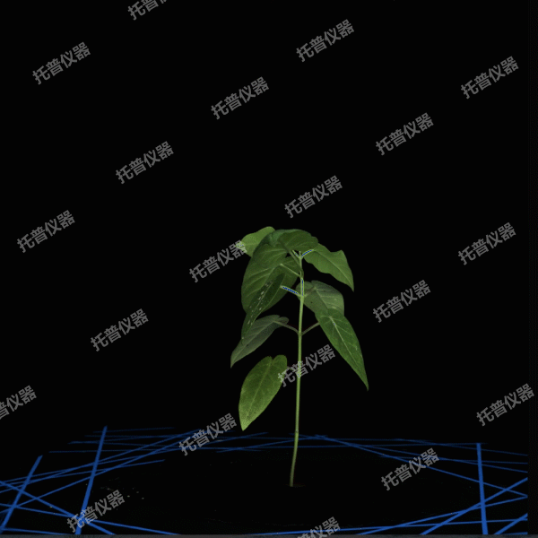 溫室型高通量植物表型采集分析平臺