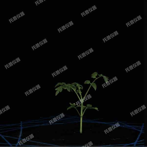 溫室型高通量植物表型采集分析平臺