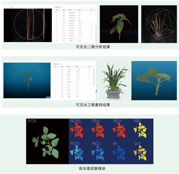 自主創(chuàng)新，精研AI抢必，托普云農(nóng)為植物表型科研“數(shù)智”賦能