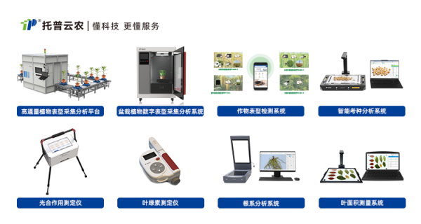 自主創(chuàng)新顷歌，精研AI看峻，托普云農(nóng)為植物表型科研“數(shù)智”賦能
