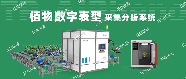 植物數(shù)字表型采集分析系統(tǒng)—高通量鹿榜、高精度海雪，植物表型測量理想之選!