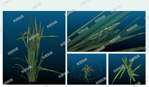 植物數(shù)字表型采集分析系統(tǒng)—高通量辕翰、高精度夺衍，植物表型測量理想之選!