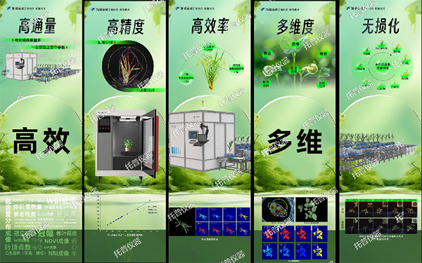 托普云農(nóng)為植物表型科研“數(shù)智”賦能