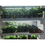 步入式人工氣候箱